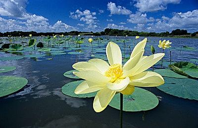 传《最终幻想16》PC版不会是Epic平台独占